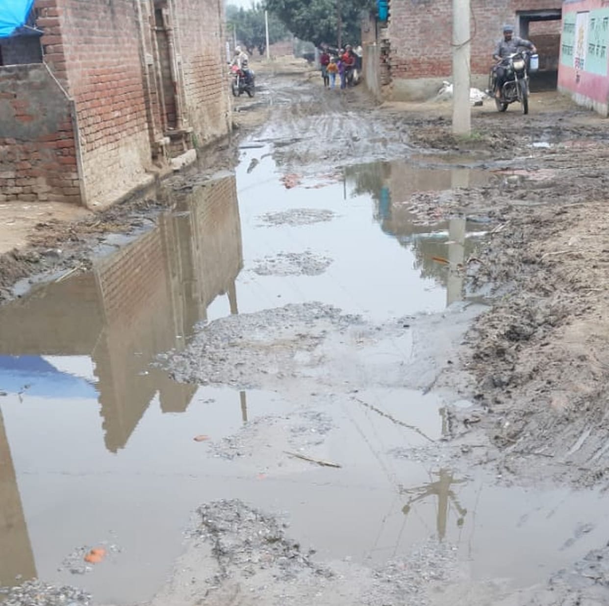 election,badaun,badaun 145 vidhan sabha 2022, bisauli 142 vidhan sabha 2022, sahaswan 143 vidhan sabha 2022, bilsi 144 vidhan sabha 2022, shekhupur 146 vidhan sabha 2022, dataganj 147 vidhan sabha 2022