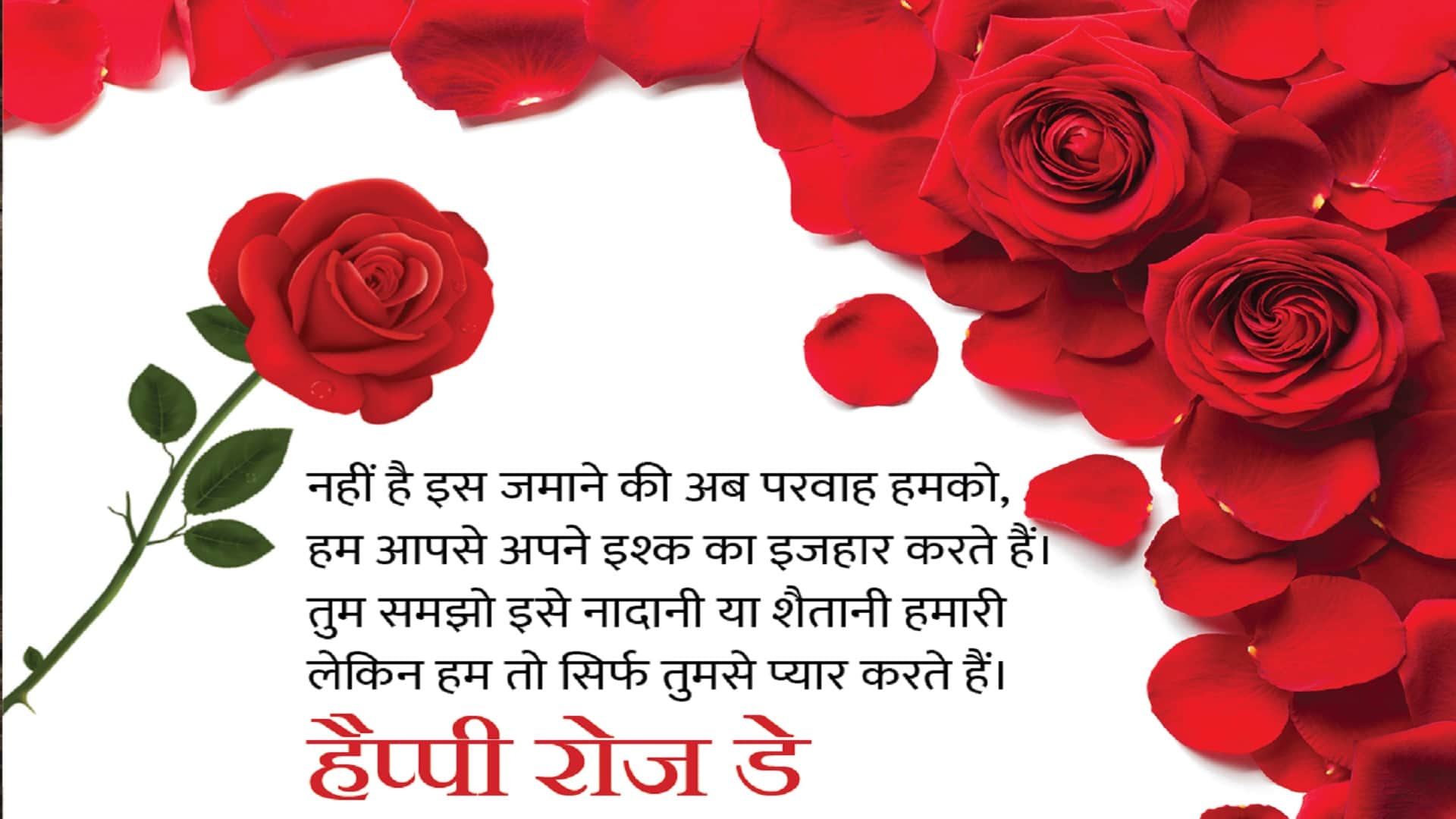 Happy Rose Day 2022 Wishes: Rose Day Images, Quotes, Wallpapers, Messages, Whatsapp Status in Hindi Valentine Day