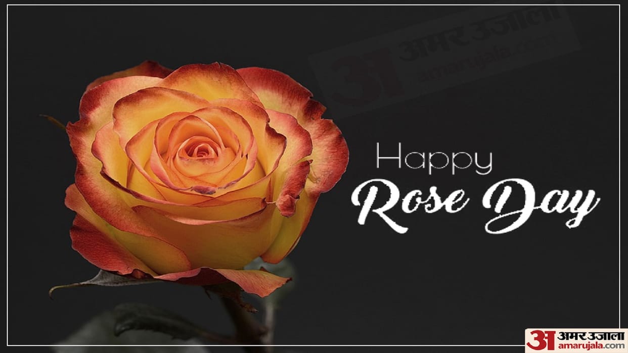 Happy Rose Day 2022 Significance History Reason To Celebrate on 7 February