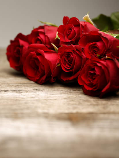 ROSE DAY