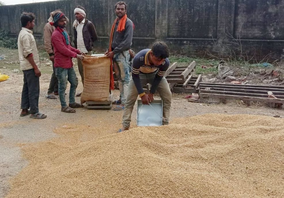 fathepur news,Now only 200 quintals will be bought for farmers' paddy