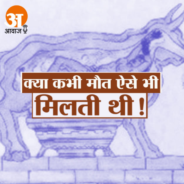 ब्रेजन बुल