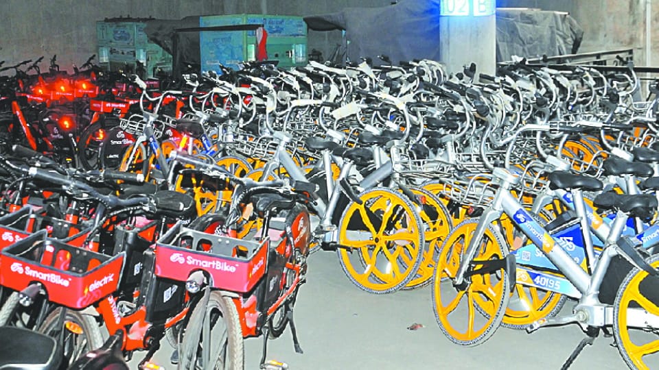 Chandigarh will get 1250 more bicycles this month Under public bike sharing scheme