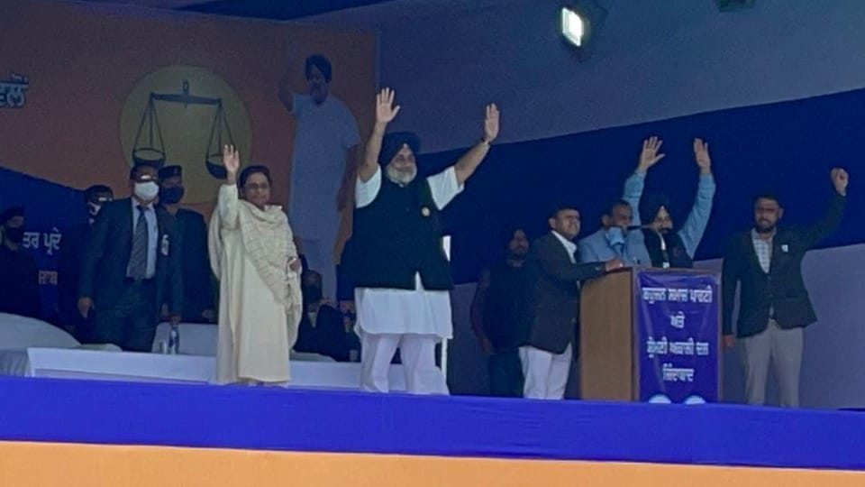 Punjab Election 2022 BSP Supremo Mayawati Will Address Election Rally Today in Shaheed Bhagat Singh Nagar