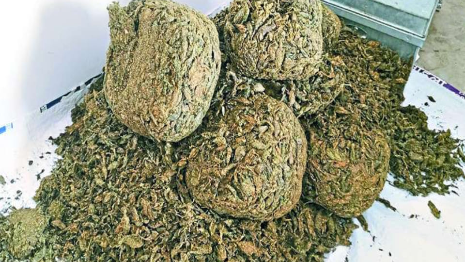Action of Kota Police against Drugs, six smugglers arrested