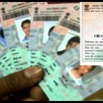 How to vote without voter ID card