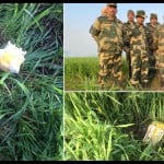 सर्च अभियान में मिला पैकेट