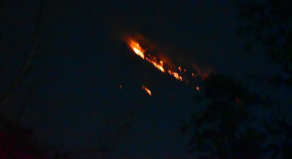Control Burning In Bageshwar