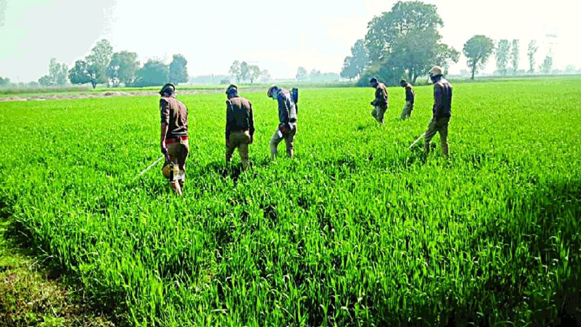 kanpur murder News accused tortured the child before killing him