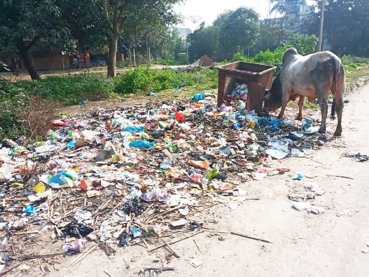 garbage in medical college colony