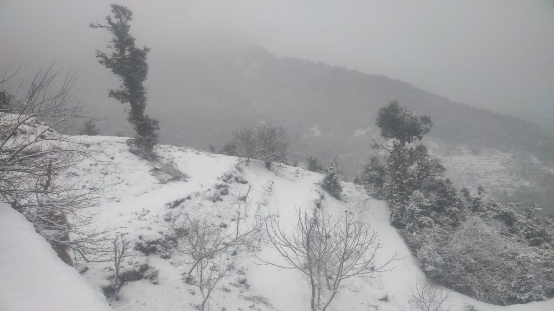 Uttarakhand : Snowfall in Mussoorie including Badri-Kedar, see photos