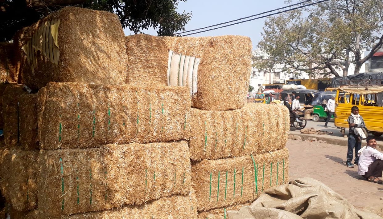 agricultur