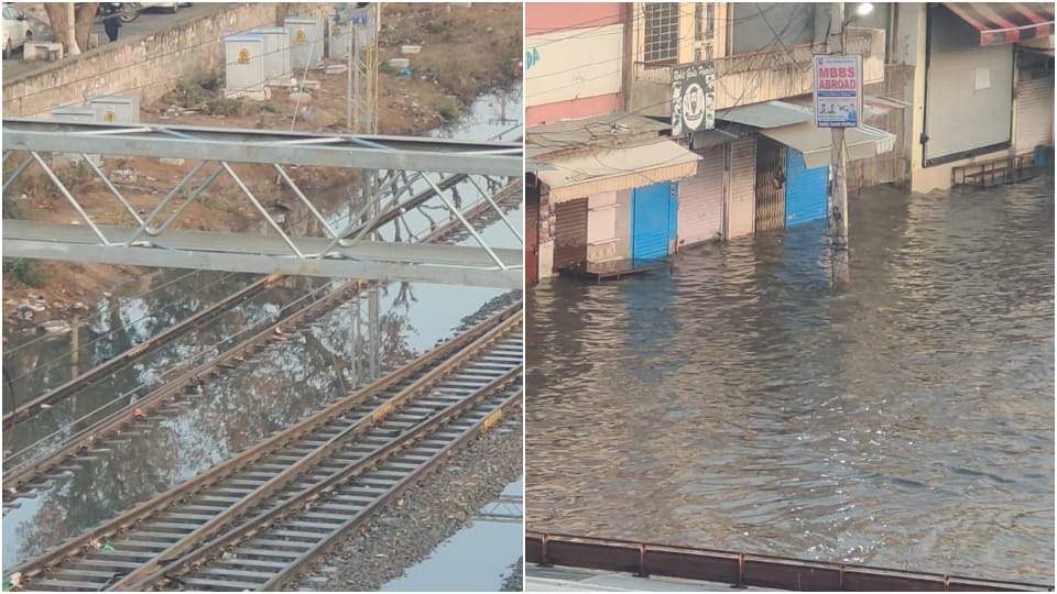 Weather changed in Rajasthan Rain in many districts