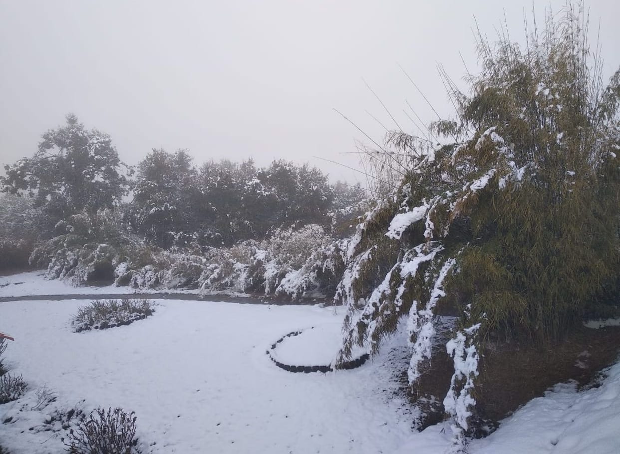 Snowfall Again In High Altitudes
