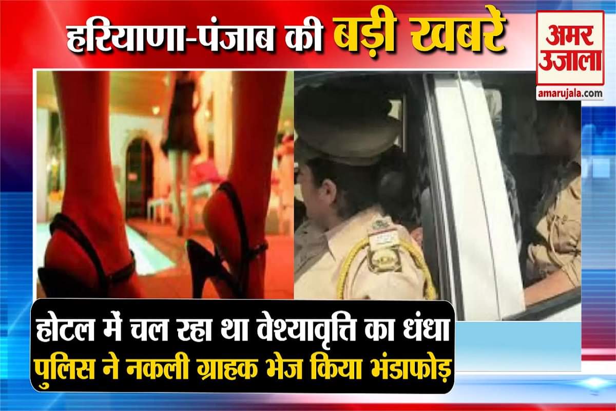 हरियाणा न्यूज