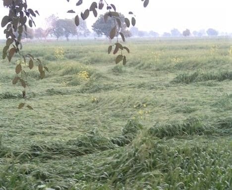Hathras: If the crops are planted in the fields, then somewhere the water is filled