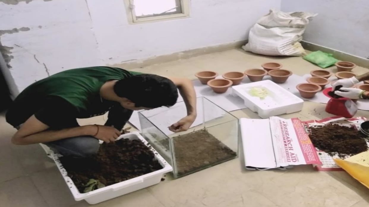 snails indicate environmental pollution by changing their color, revealed in central university dharamshala Study