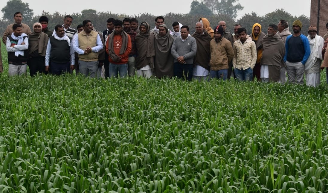 There has been a reduction in stubble burning due to awareness among farmers