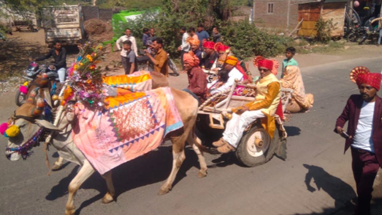 Dhar: A young man reached his girlfriend's house by bullock cart for marriage, took the procession in five bullock carts