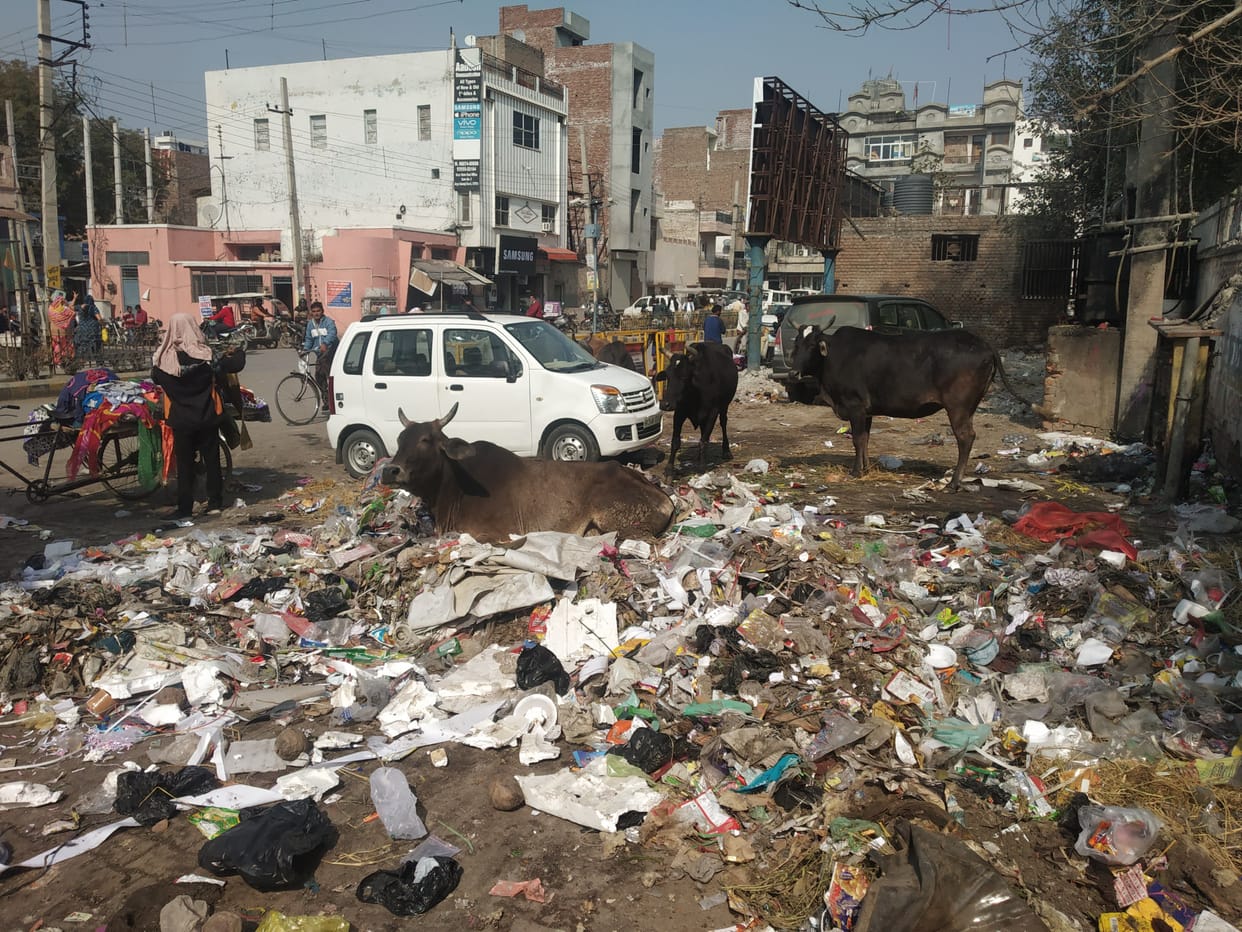 How will the ranking improve: Cleaners and proper arrangements for garbage collection