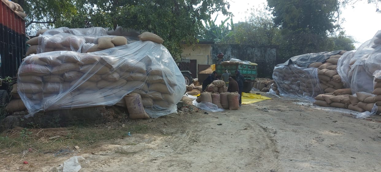 Paddy purchasing centers opening late, problem increased due to shortage of sacks