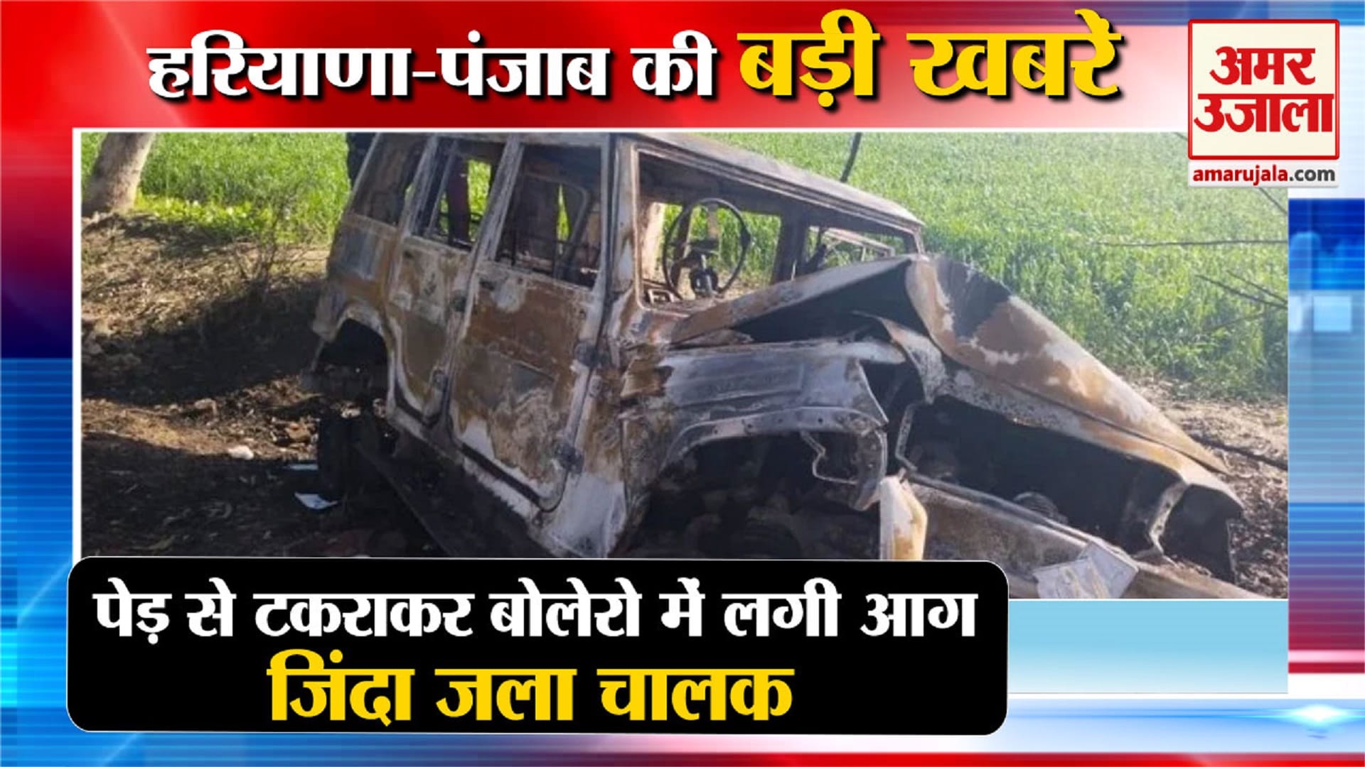 हरियाणा न्यूज