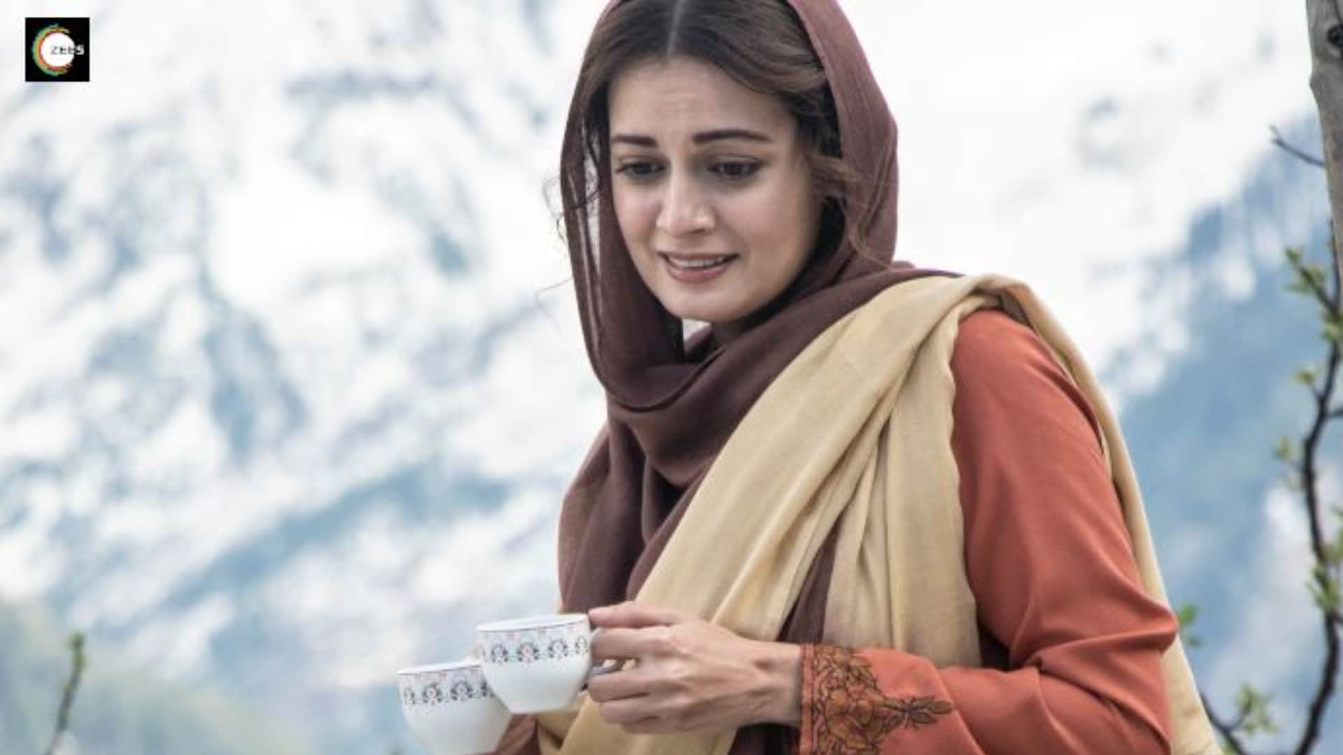 Karnataka Hijab Row: Bollywood actresses wore Hijab for their roles