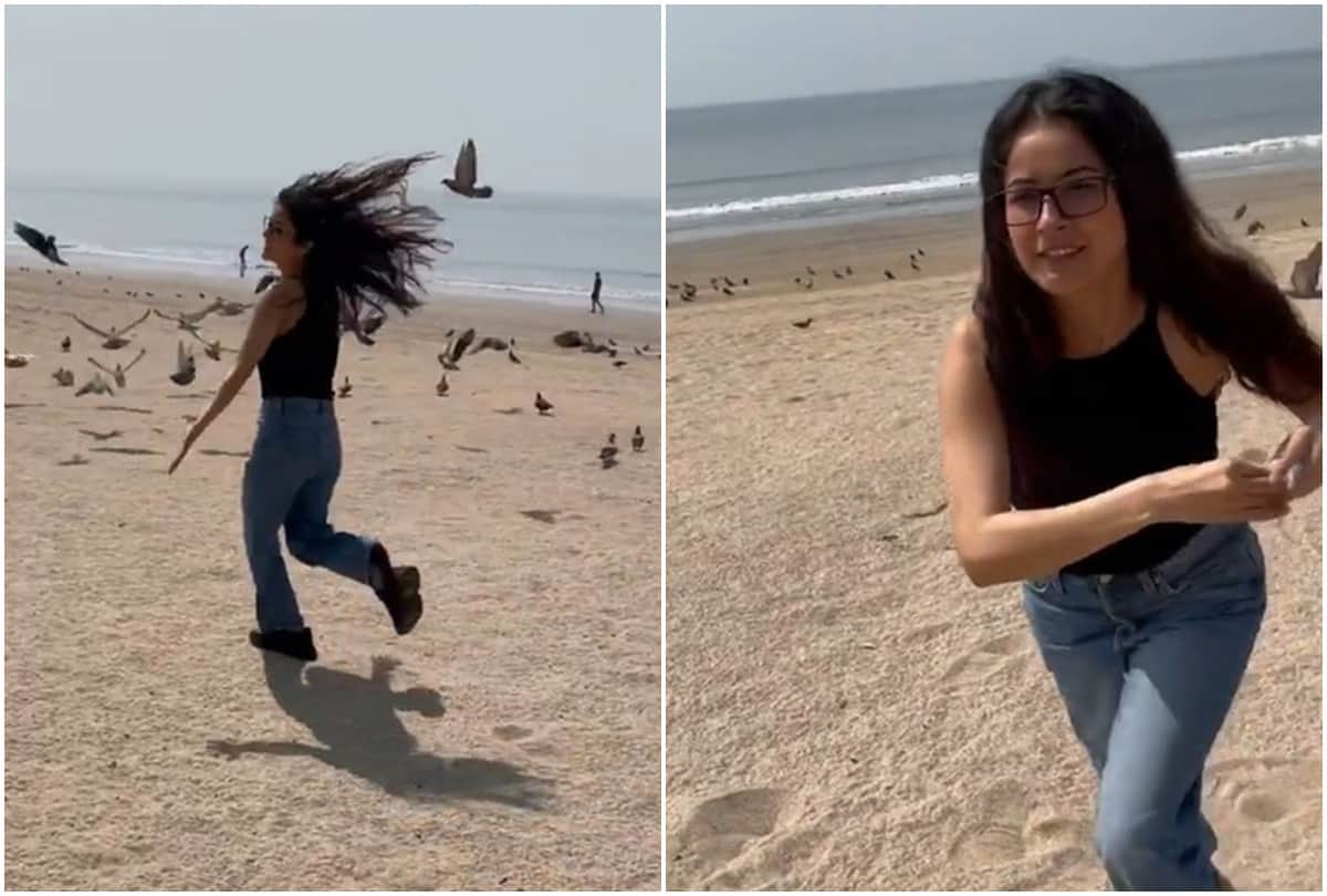 Shehnaaz Gill was seen having fun with the pigeons on the seashore the fans said no makeup shehnaaz is the prettiest