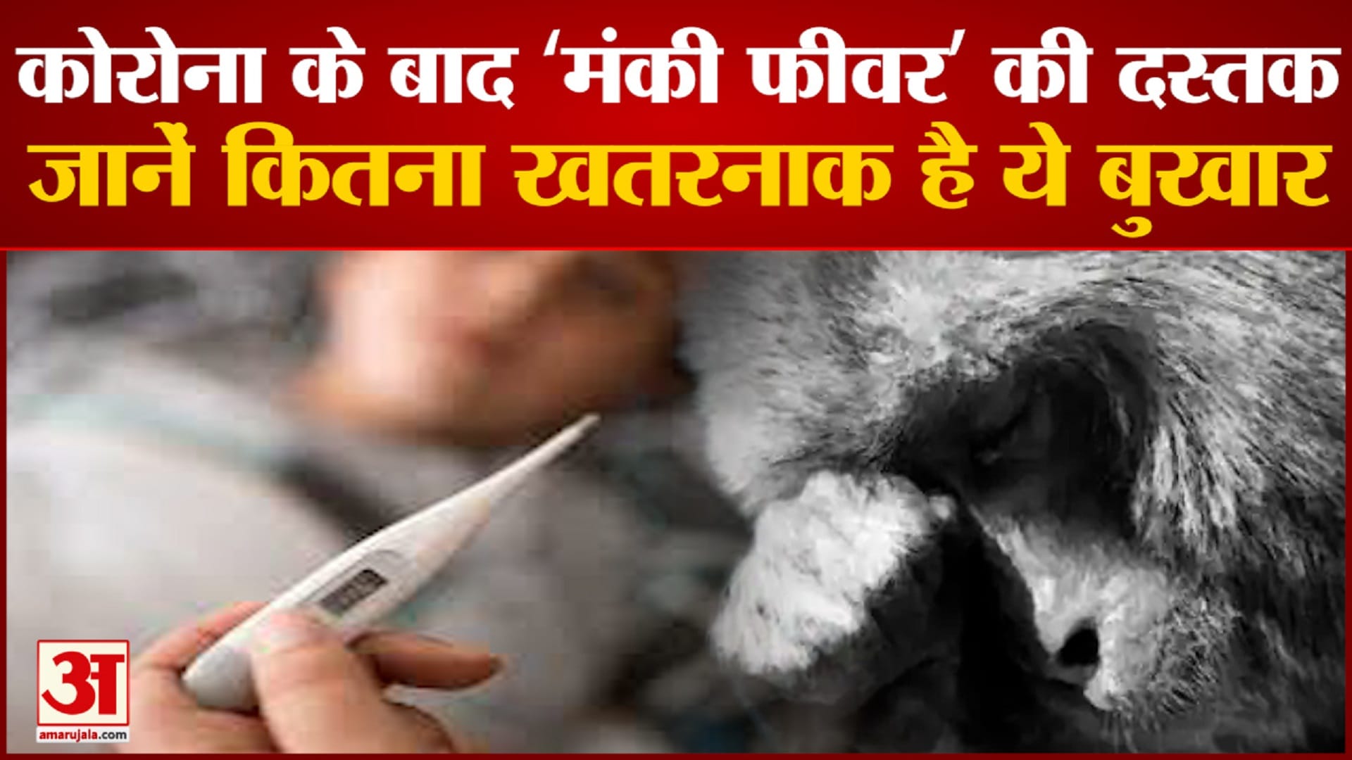 केरल में ‘मंकी फीवर’ की दस्तक