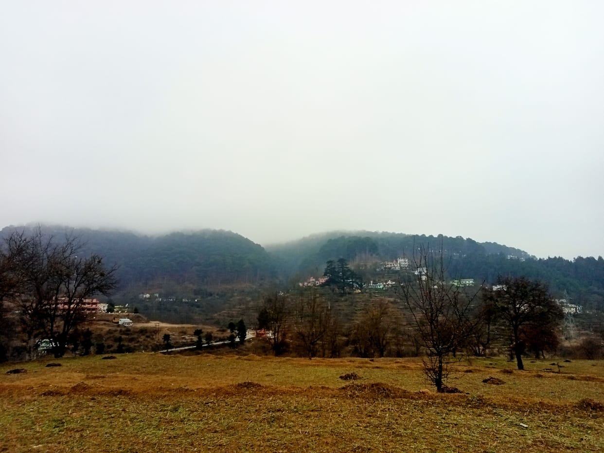 Cold Wave In Almora