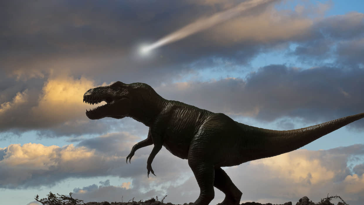 Cold and cough of crores years dinosaur suffered coughing sneezing fever respiratory infection