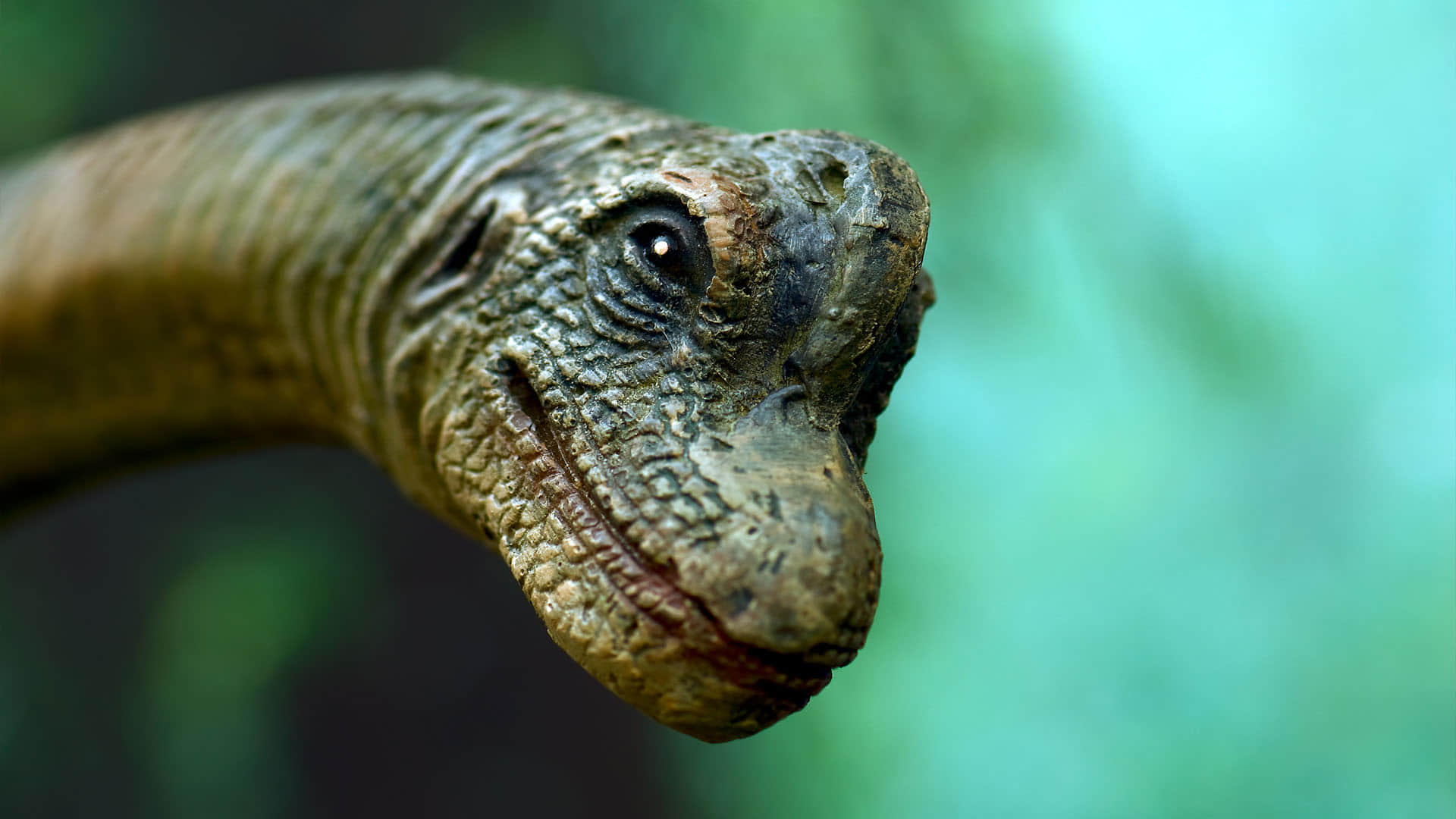 Cold and cough of crores years dinosaur suffered coughing sneezing fever respiratory infection
