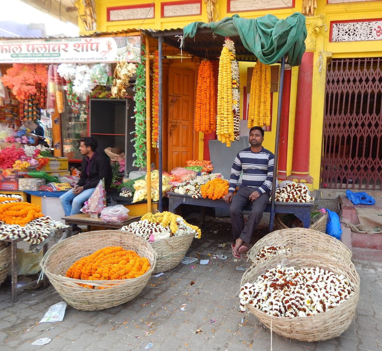 Flower business flourished with elections and cooperation
