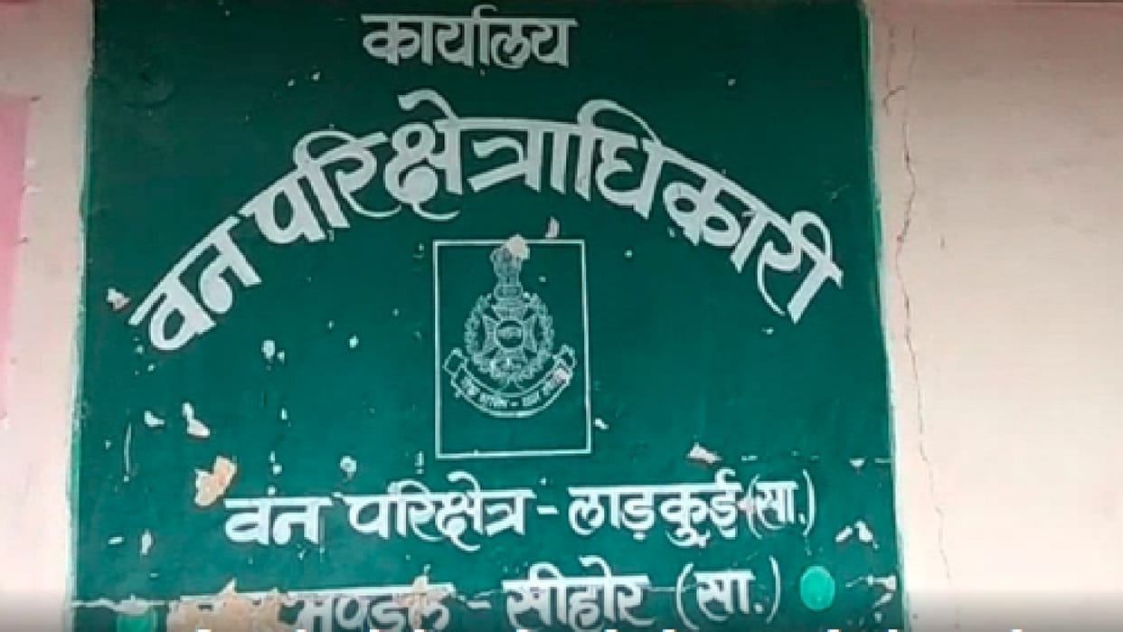 Attack on forest guard in Sehore: Forest guard had gone to catch wood thieves in the forest of Bilkheda village, was beaten up by forest mafia