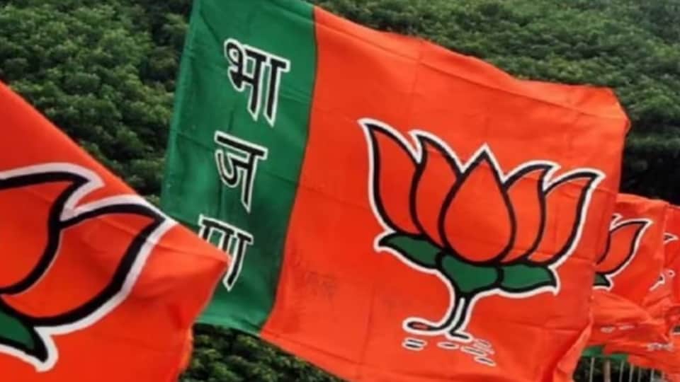 mainpuri election result polarization of the Lodhi vote in Bhogaon gave victory to the BJP