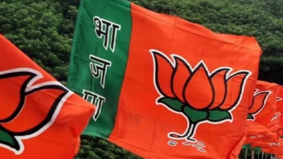 mainpuri election result polarization of the Lodhi vote in Bhogaon gave victory to the BJP