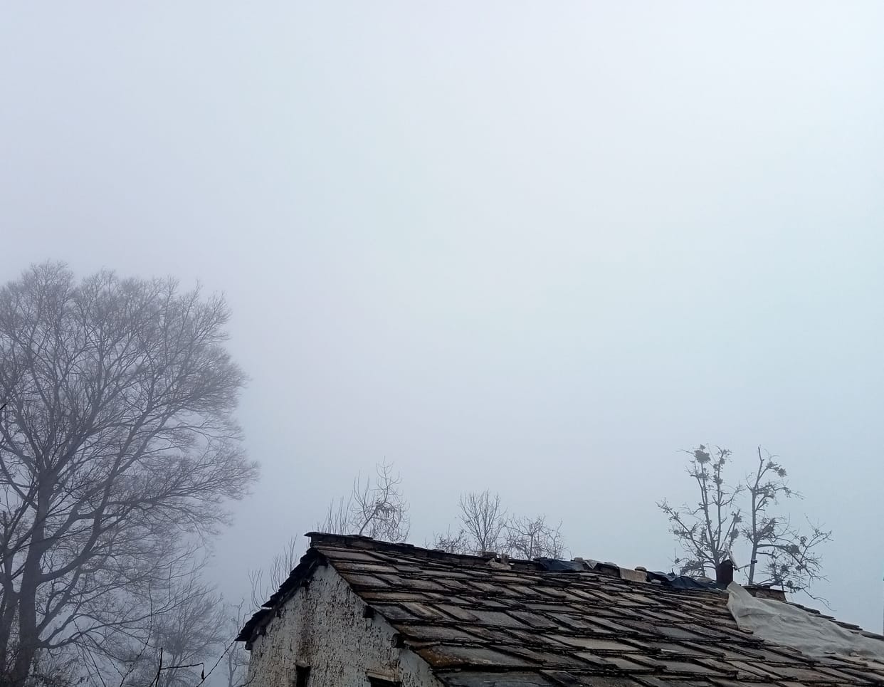 Cold Wave In Almora