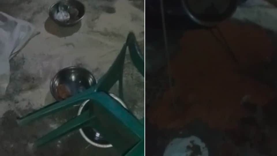 Panic of Dabangs in Rajgarh: Uproar over DJ playing at Dalit's wedding, demolished tents, threw food and pelted stones at the groom's house