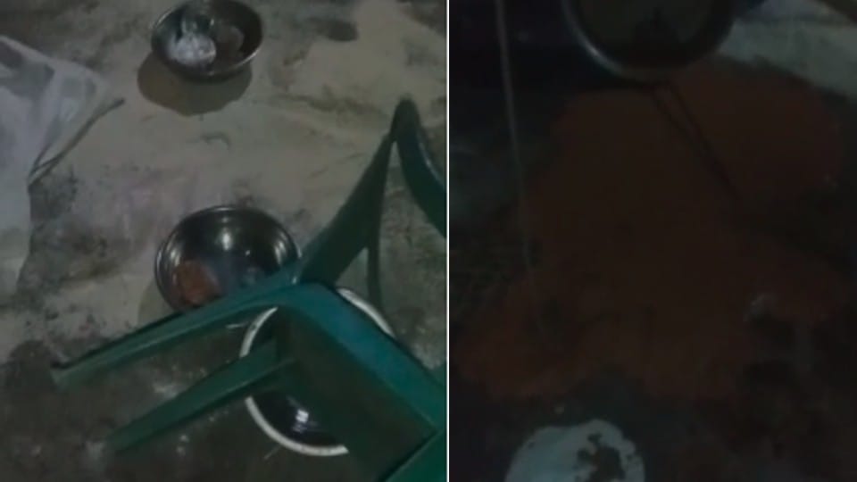 Panic of Dabangs in Rajgarh: Uproar over DJ playing at Dalit's wedding, demolished tents, threw food and pelted stones at the groom's house