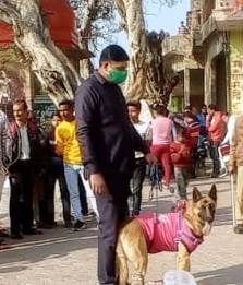 Son-in-law executed the incident in a filmy style