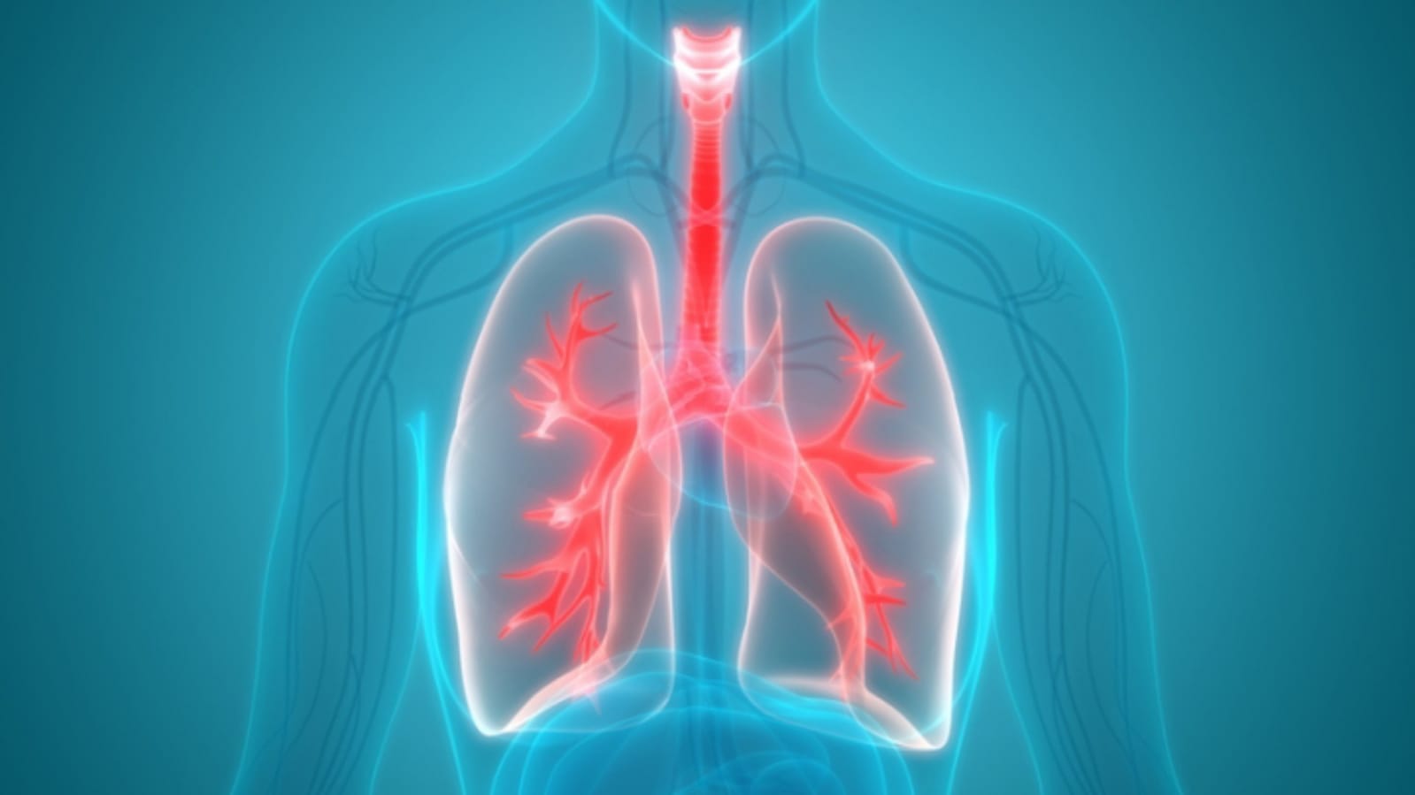 world pneumonia day 2023, Differences between Asthma and Pneumonia symptoms and complications