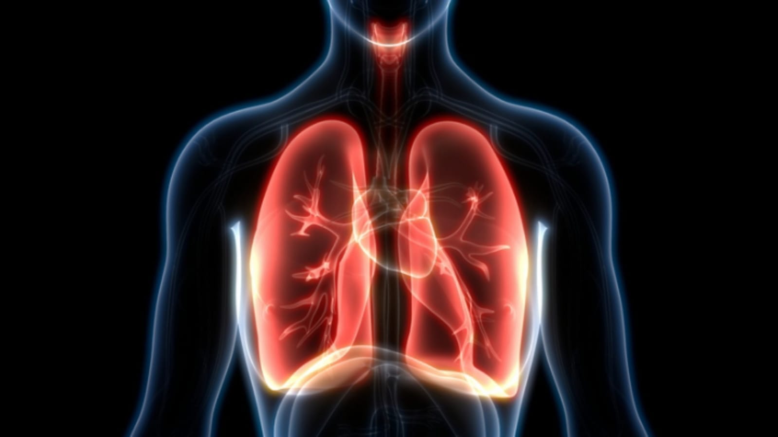 pollution and winter causing respiratory problems, affecting lungs and asthma patients