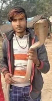 one died due to snake bite