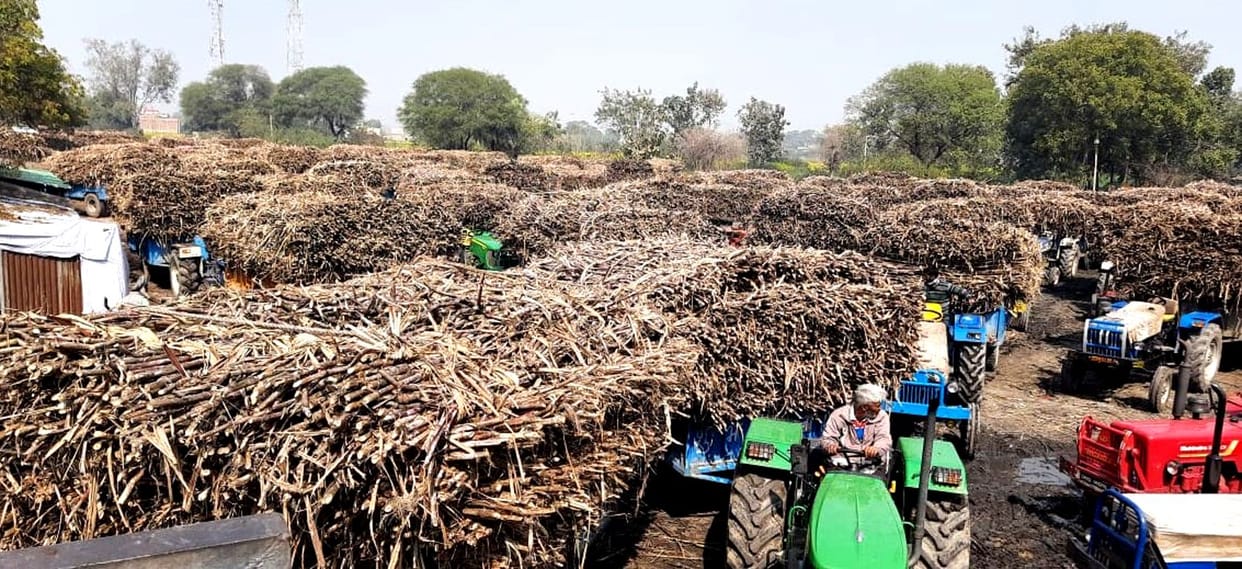 Satha Sugar Mill