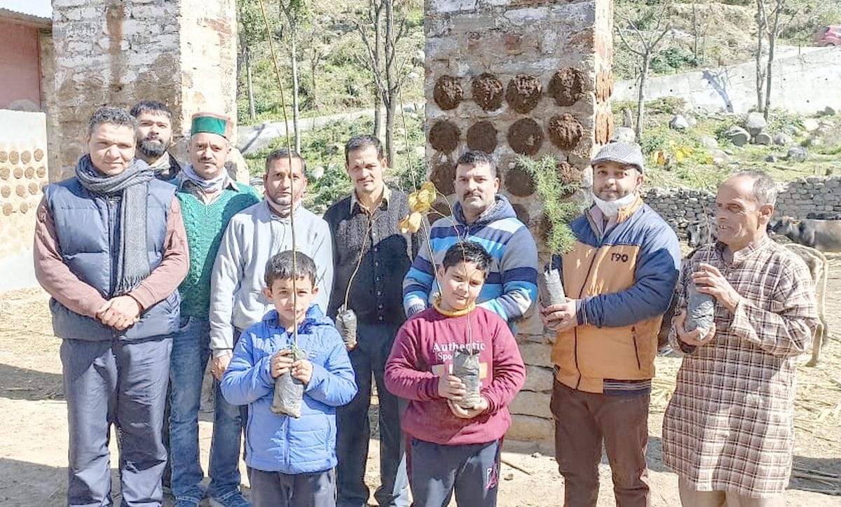 tree plantation camp drive in near bhgot cowshed