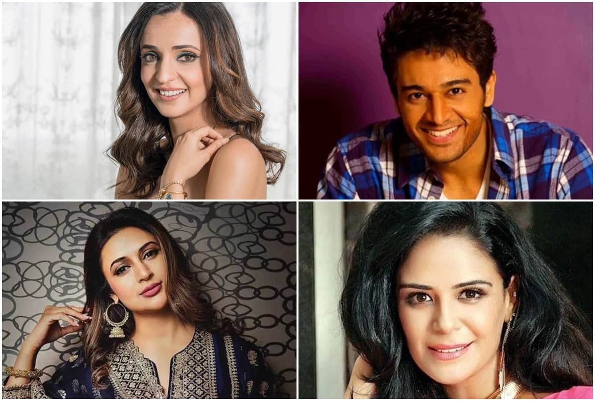 From Devoleena Bhattacharjee to Divyanka Tripathi these tv stars have rejected the superhit Television shows