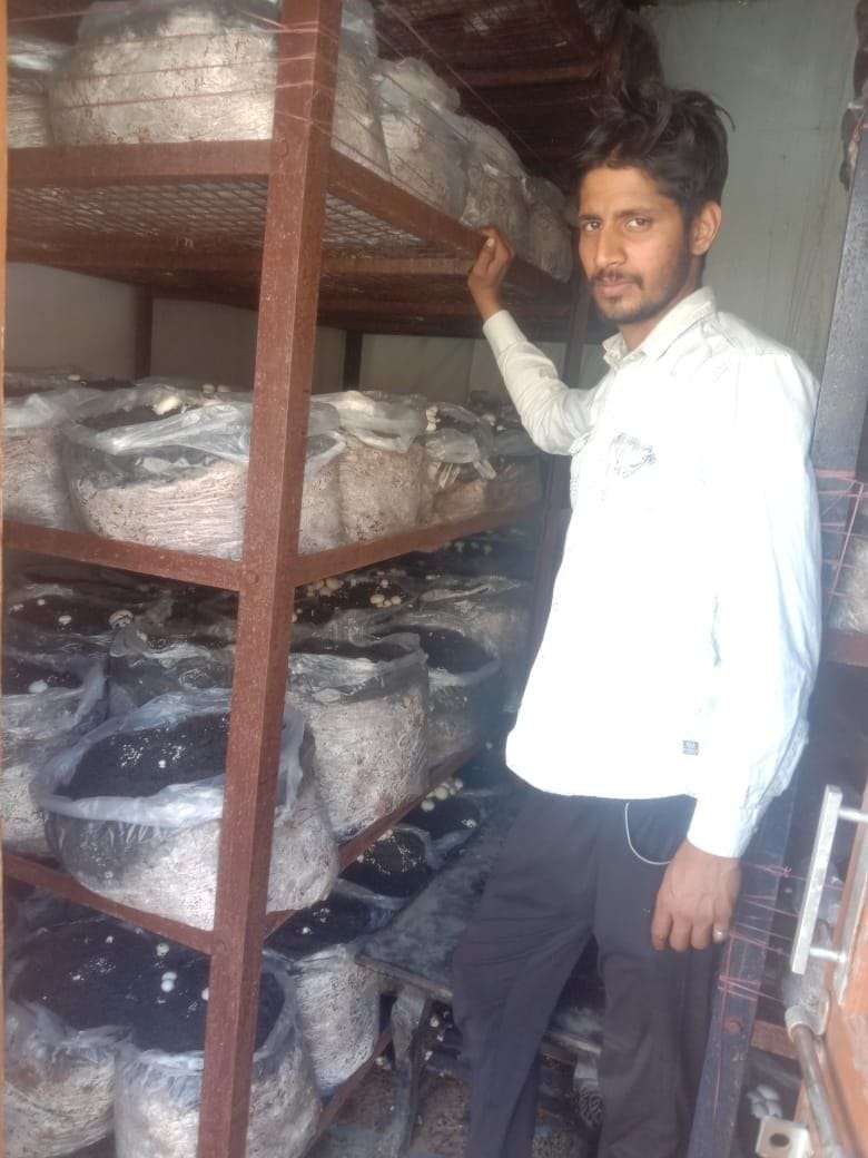 Pankaj is earning Rs 21 lakh annually by producing mushroom leaving the job of home guard