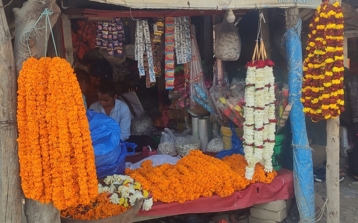 Flower business picked up due to assembly elections, passion and valentines