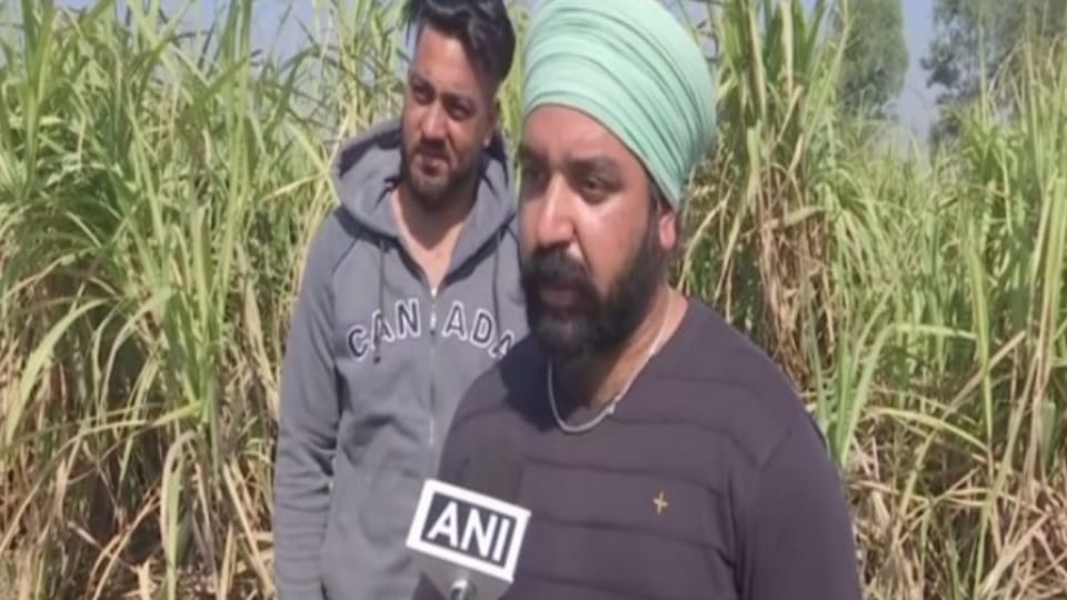 Punjab: sugarcane farmers refuse to vote, say no government serious about them