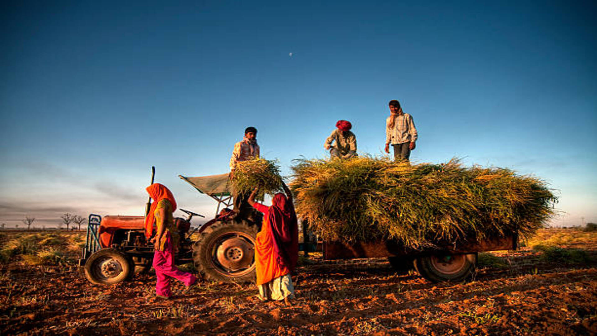 PM Kisan Tractor Yojana Government gives 50 percent subsidy to farmer on buying tractor know about this scheme